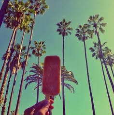 a person is holding up an ice cream bar in front of palm trees and blue sky