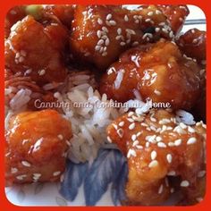 chicken and rice on a plate with sesame seeds