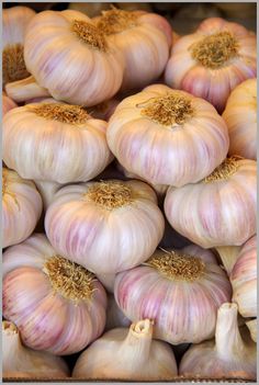 several garlics are piled up in a pile