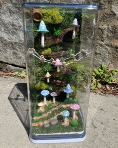 a glass container filled with lots of different types of plants and mushrooms on top of a sidewalk