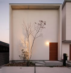 a house with a tree in the front yard