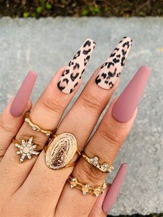 cheetah print nails coffin. There are any references about cheetah print nails coffin in audrarobinson.blue, you can look below. I hope this article about cheetah print nails coffin can be useful for you. Please remember that this article is for reference purposes only. #cheetah #print #nails #coffin