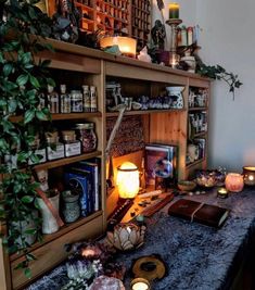 a room filled with lots of books and candles on top of a wooden shelf next to a plant