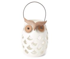 a white owl with brown eyes sitting on top of a wooden handle and headband