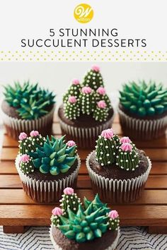 cupcakes with chocolate frosting and cactus decorations on top are sitting on a wooden tray