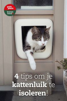 Bekijk 4 tips om je kattenluik te isoleren & energiekosten te besparen! Advies artikel van Pets Place Cat Behavior, How To Train, How To Train Your, All About Cats, Step By Step, Train, Pet, Animals