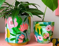 two potted plants sitting on top of a pink table next to a green plant