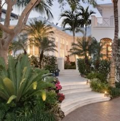 a large house surrounded by palm trees and flowers in front of the stairs leading up to it