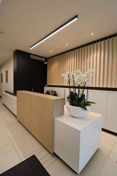 an office lobby with a planter on the counter