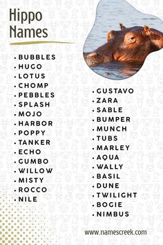 🦛 Top 100 Creative and Unique Hippo Names for Your Pet Hippo! 🌊 Looking for the perfect name for your lovable, water-loving friend? Check out our list of 100 creative and unique hippo names that are perfect for any personality! From playful to regal, you’ll find the perfect fit for your chubby companion. Discover names like “Splashster,” “Hippalicious,” and “Bubbles McFloat” that will make your hippo stand out. Click to explore the ultimate naming guide! 🦛💦 #HippoNames #PetHippo #UniqueNames #AnimalLovers #CreativePetNames #WaterLovingPets Unique Names, I Love Books, Pet Names, Your Pet, Love Book, Top 100, Perfect Fit, Bubbles