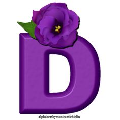 the letter d has a purple flower in it