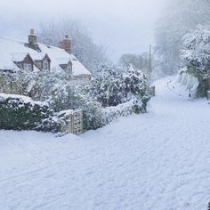 a snow covered road with houses and trees in the background