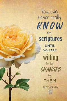 a yellow rose with the words, you can never really know the scripturess until you are will be changed by them