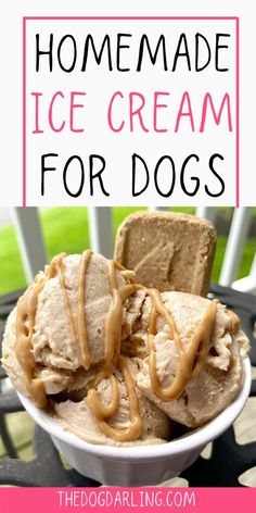 homemade ice cream for dogs in a bowl