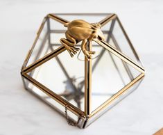 a gold frog figurine sitting on top of a glass box