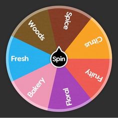 a spinning wheel with words on it and the word spin written in different languages inside