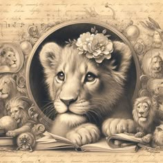 a pencil drawing of a lion with flowers in its hair and surrounded by other lions