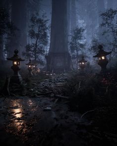 lanterns lit up in the dark forest at night