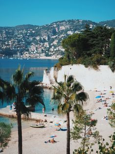 the beach is crowded with people and palm trees