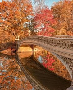 a bridge over a body of water surrounded by trees with fall colors in the background