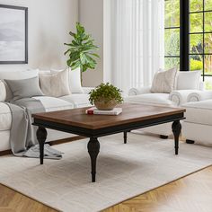 a living room filled with furniture and a potted plant on top of a coffee table