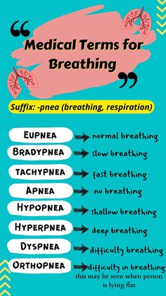 In this pin you will learn medical terms for breathing that help you understand the meaning of each term of breathing used in medical science. Nursing School Survival