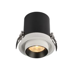 a black and white ceiling light with two lights on it