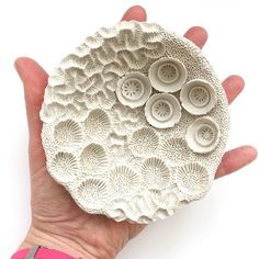 a person's hand holding a white paper plate with buttons on it