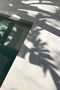 shadow of a palm tree on a pool ledge Mood Images, Aesthetic Images, Beach Aesthetic, Aesthetic Backgrounds, Feng Shui