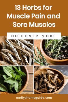 Discover the power of herbal remedies with these DIY sore muscle creams! Whether you're looking for pain relief or a natural way to soothe sore muscles, these homemade ginger salves and dandelion balms are here to help. From essential oils like eucalyptus and peppermint to potent herbs like arnica and chamomile, find the perfect muscle pain relief cream recipe for your needs. Muscle Cream Diy, Muscle Inflammation Remedies, Herbal Muscle Relaxer, Plant Remedies, Herbal Medicine Cabinet, Inflammation Remedies, Learning Herbs, Longevity Recipes, Sore Muscle