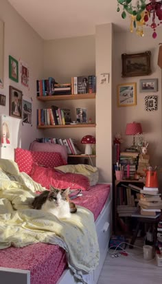 a cat laying on top of a bed in a bedroom