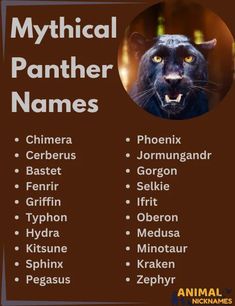 A collection of mythical panther names inspired by legends and folklore, including powerful names like Nyx, Bastet, and Shadoa, ideal for adding a mystical touch to your pet panther’s identity. Female Character Names, Fantasy Names, Female Character, Character Names, Black Panther