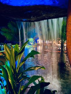 an indoor waterfall in the middle of a pool surrounded by greenery and blue lights