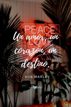 a quote from bob marley that reads peace is among us, coran, an destigo