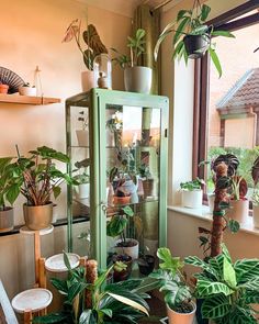 many houseplants and plants are on display in this room