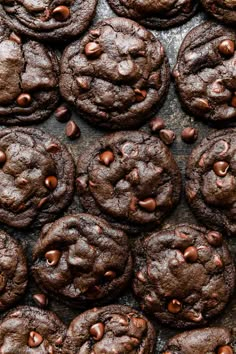 chocolate cookies are arranged on a baking sheet