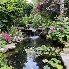 a pond surrounded by lots of plants and flowers