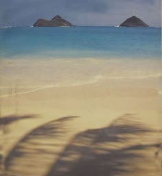 the shadow of a palm tree on a beach with two small islands in the distance