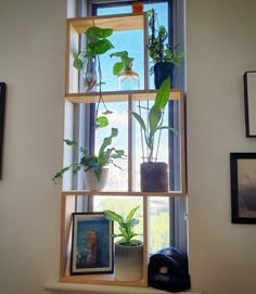 a window sill filled with potted plants and pictures