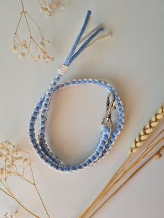 a blue and white dog leash next to some dried flowers on a white surface with two metal hooks