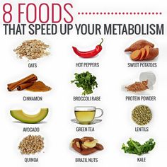 Fix Metabolism, Metainfluencing Foods, Healthy Food Chart, Speed Up Your Metabolism, Metabolism Diet, Metabolism Boosting Foods, Healthy High Protein Meals, Healthy Metabolism