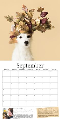 a calendar with an image of a white dog and flowers on its head, in front of a beige background