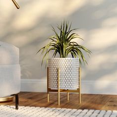 a potted plant sitting on top of a wooden table next to a white couch