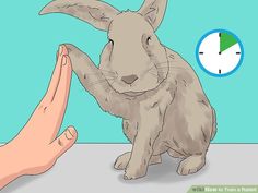 a rabbit sitting on top of a table next to a hand reaching for it's paw