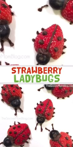 strawberry ladybugs with blackberries on them and the words, strawberry ladybugs