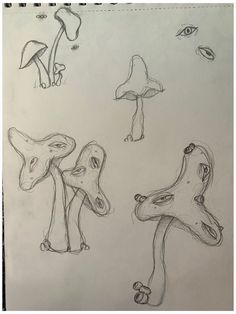 a drawing of different types of mushrooms