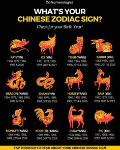 the zodiac sign for chinese zodiac signs is shown in red and yellow colors, with black background