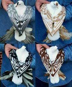 four different types of stuffed birds in their hands