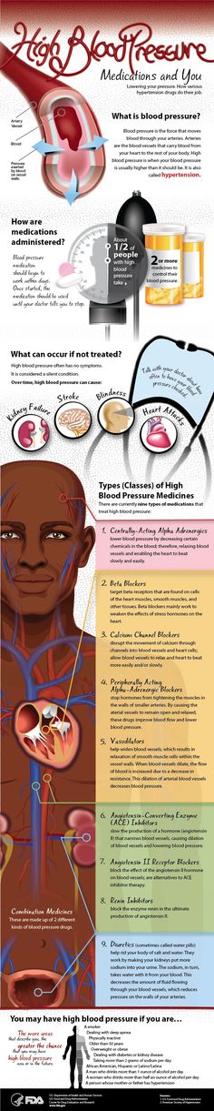 the anatomy of the human body and its functions