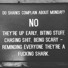 Had to repost Shark Quotes, Michael Collins, Ex Machina, Sharks, Life Lessons